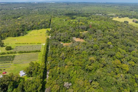 Land in Brooksville, Florida № 1355892 - photo 11