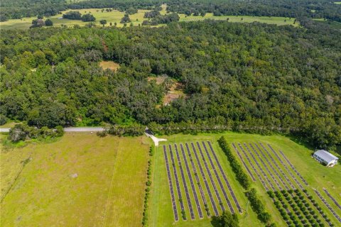 Terreno en venta en Brooksville, Florida № 1355892 - foto 7