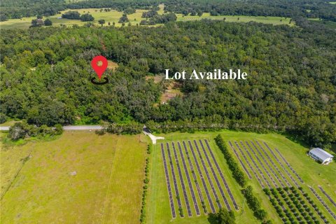 Land in Brooksville, Florida № 1355892 - photo 2