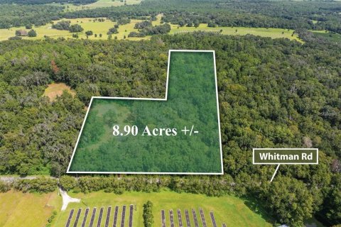 Terreno en venta en Brooksville, Florida № 1355892 - foto 18