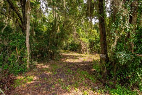 Terreno en venta en Brooksville, Florida № 1355892 - foto 17