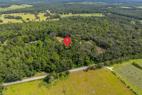 Terreno en venta en Brooksville, Florida № 1355892 - foto 5