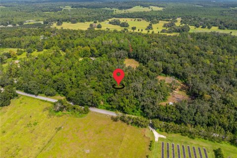 Land in Brooksville, Florida № 1355892 - photo 3