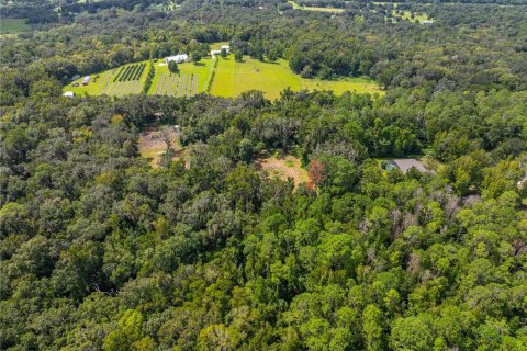 Terreno en venta en Brooksville, Florida № 1355892 - foto 9