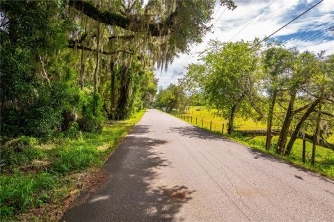 Terreno en venta en Brooksville, Florida № 1355892 - foto 13