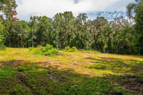 Terreno en venta en Brooksville, Florida № 1355892 - foto 16