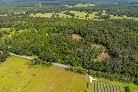 Terreno en venta en Brooksville, Florida № 1355892 - foto 8