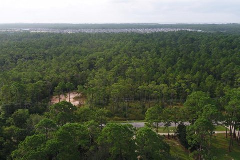 Land in Gulf Breeze, Florida № 1306577 - photo 1