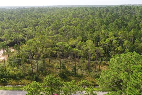 Land in Gulf Breeze, Florida № 1306577 - photo 28