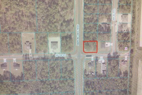 Land in Ocala, Florida № 1369743 - photo 3