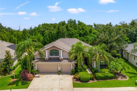 Villa ou maison à vendre à Odessa, Floride: 4 chambres, 309.64 m2 № 1295826 - photo 1