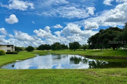 Condo in Wesley Chapel, Florida, 1 bedroom  № 1343692 - photo 13