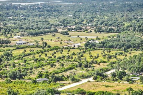 Terreno en venta en Punta Gorda, Florida № 1167501 - foto 3