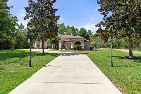 Villa ou maison à vendre à Beverly Hills, Floride: 4 chambres, 287.72 m2 № 1350114 - photo 1