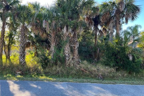 Land in Palm Coast, Florida № 979992 - photo 9