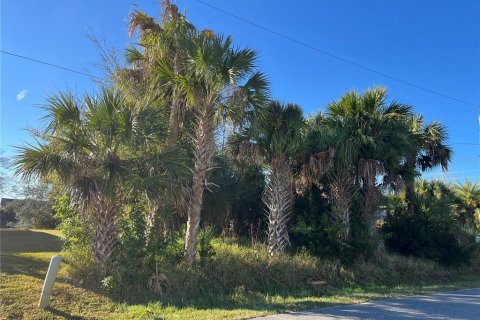 Land in Palm Coast, Florida № 979992 - photo 8