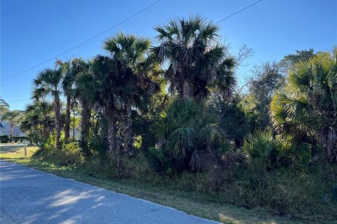 Land in Palm Coast, Florida № 979992 - photo 1