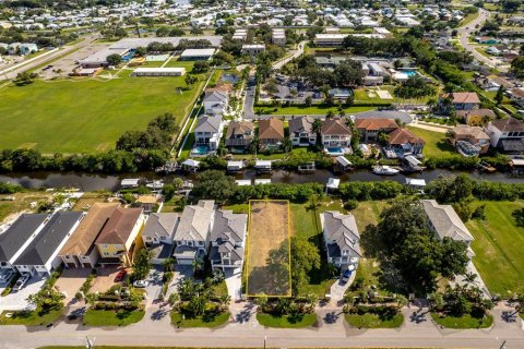 Terreno en venta en Apollo Beach, Florida № 1381184 - foto 11