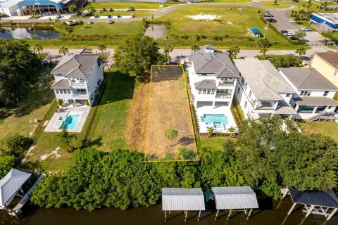 Terreno en venta en Apollo Beach, Florida № 1381184 - foto 8