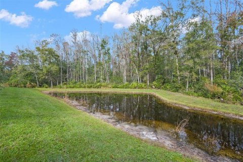 Townhouse in Land O' Lakes, Florida 2 bedrooms, 143.16 sq.m. № 1387049 - photo 26