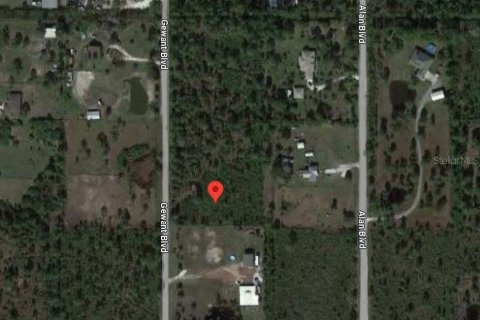 Terreno en venta en Punta Gorda, Florida № 943460 - foto 3