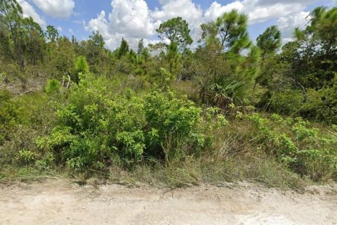 Land in Punta Gorda, Florida № 943460 - photo 2