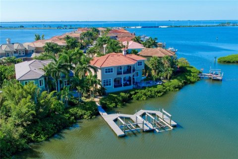 Villa ou maison à louer à Tampa, Floride: 4 chambres, 341.23 m2 № 1358053 - photo 3