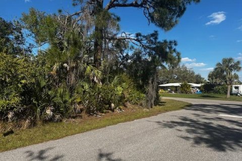 Купить земельный участок в Порт-Шарлотт, Флорида № 1012297 - фото 3
