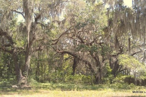 Terrain à vendre à Dunnellon, Floride № 224313 - photo 25