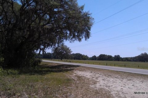 Terrain à vendre à Dunnellon, Floride № 224313 - photo 21