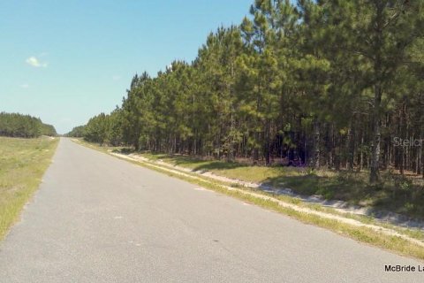 Terrain à vendre à Dunnellon, Floride № 224313 - photo 3