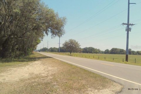 Terrain à vendre à Dunnellon, Floride № 224313 - photo 28