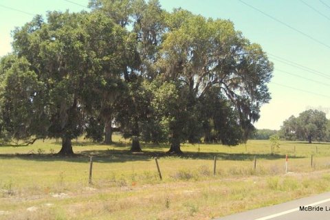 Terrain à vendre à Dunnellon, Floride № 224313 - photo 4