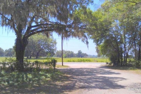Terrain à vendre à Dunnellon, Floride № 224313 - photo 20