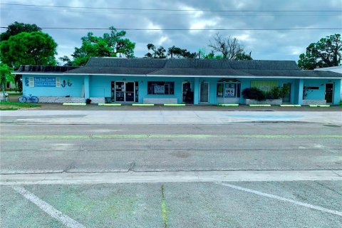 Commercial property in Englewood, Florida 421.96 sq.m. № 245942 - photo 3