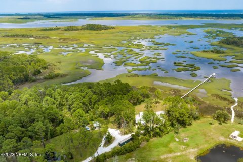 Land in Saint Augustine, Florida № 807068 - photo 4