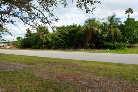 Terrain à vendre à Punta Gorda, Floride № 872625 - photo 5