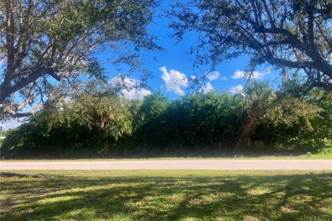 Terreno en venta en Punta Gorda, Florida № 872625 - foto 3