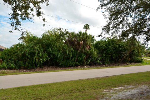 Terrain à vendre à Punta Gorda, Floride № 872625 - photo 4