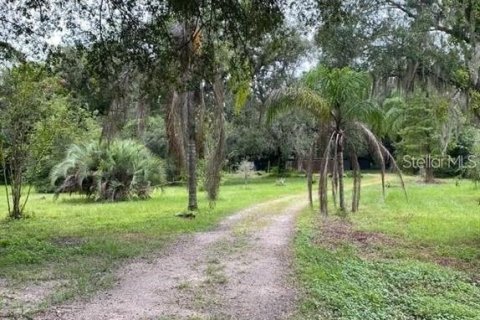 Terreno en venta en Wesley Chapel, Florida № 1354421 - foto 6