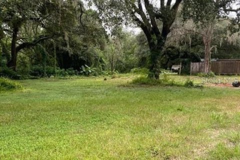 Terreno en venta en Wesley Chapel, Florida № 1354421 - foto 8