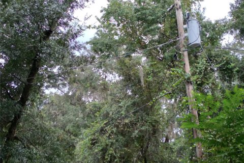 Land in Ocklawaha, Florida № 1354461 - photo 2