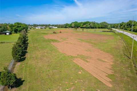 Land in Dade City, Florida № 1134188 - photo 12