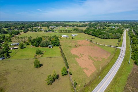 Land in Dade City, Florida № 1134188 - photo 10