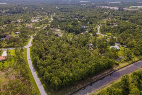 Terreno en venta en Palm Beach Gardens, Florida № 696934 - foto 9