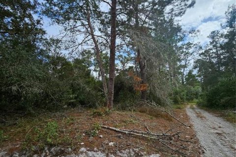 Terreno en venta en Deltona, Florida № 1432315 - foto 8