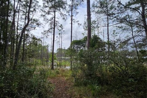 Terreno en venta en Deltona, Florida № 1432315 - foto 5