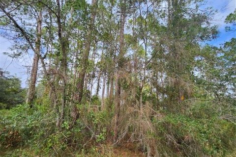 Terreno en venta en Deltona, Florida № 1432315 - foto 14