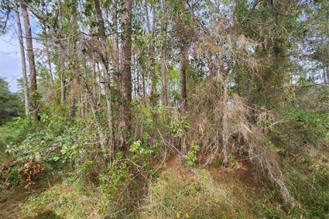 Terreno en venta en Deltona, Florida № 1432315 - foto 3