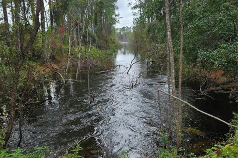 Terreno en venta en Deltona, Florida № 1432315 - foto 1